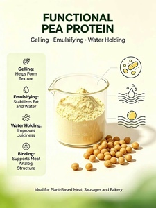 Proteine Isolate di Pisello Funzionali in Polvere con Buona Capacità Gelificante, Emulsionante <span class=keywords><strong>e</strong></span> Idroretentore per <span class=keywords><strong>Alimenti</strong></span> a Base Vegetale - Product Image 3