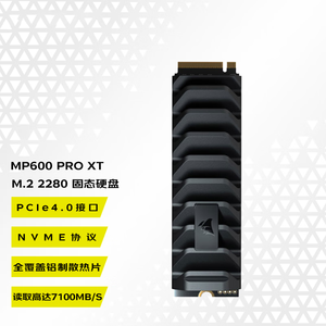 MP600 PRO NH LPX 1T 2T 4T 8T 1TB 2TB 4TB 8TB <b>SSD</b> PCI-E4.0 <b>NVMe</b> <b>M</b>.<b>2</b> - Product Image 6