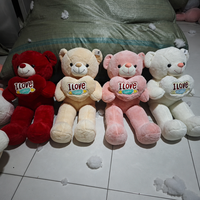 Coussin Cœur Ours en Peluche Doux, Peluche Brodé en Forme de Cœur pour la Saint-Valentin, Coque de Peluche Non Rembourrée