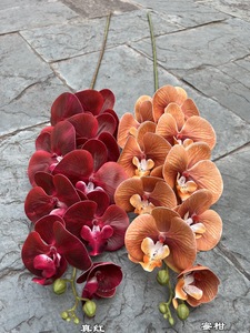 Spr Bán Buôn Handmade Nhân Tạo Phalaenopsis Màu Xanh Phong Lan 8 Người Đứng Đầu Duy Nhất Thân Thực Cảm Ứng Cho Năm Mới & Trang Trí Đám Cưới - Product Image 2
