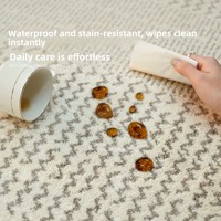 Tapis de salon exclusif transfrontalier, sans colle, imperméable, résistant aux taches, moderne, minimaliste, d'inspiration italienne, luxe léger