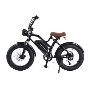 Magazijn Gratis Verzending E Bike Mtb Met 750W/20ah Batterij Elektrische Mountainbike 26 Fat Tire Elektrische Fiets Voor Vrouwen