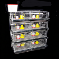 Nouvelle cage à poulets en batterie en treillis métallique pour élevage avicole automatique en ferme avicole