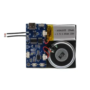 Modulo audio attivato con luce da 4MB con cavo di tipo C e capacità di registrazione facile categoria componenti acustici