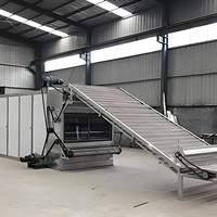Voedselveilige gaasbanddroger continue transportband droogmachine voor wintermeloenplakjes, cassave en fruitchips