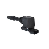 Car Engine Parts 07P905110B for Bentley Bentayga Continental Ignition Coil