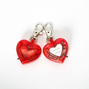 Mini <strong>Keyring</strong> with Led Light for Dog Collar - Product Image 5