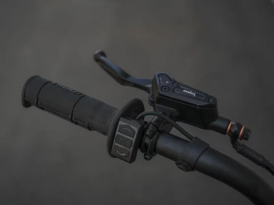 Leopard Arctique XE PRO 72 V 55 Ah 20 kW Cloud Leopard rapide 100 km/h VTT électrique tout-terrain à 12 vitesses avec batterie au lithium 100 % Emoto