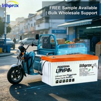 Mobilitätsroller-Akkupack 36V200AH 100AH 150AH 200AH 3,6KWh 5,4KWh 7,2KWh Klasse A LFP-Zelle Direkter Ersatz Vibrationsbeständig