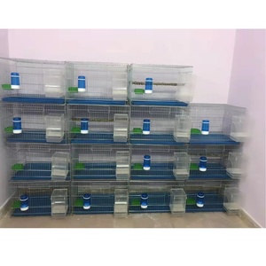 Gabbia per Uccelli Zincata di Medie Dimensioni, Rinforzata ed Elettroplaccata, per Allevamento di Pappagalli, Myna e Cockatiel - Vendita all'Ingrosso - Product Image 5