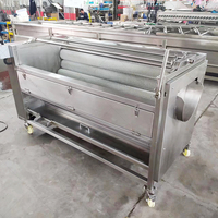 Laveuse-éplucheuse automatique de gingembre, ail et pommes de terre pour nettoyage à sec, à vendre