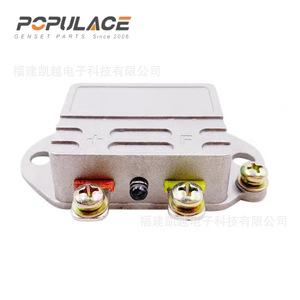 Régulateur de tension Populace 12V 24V DC monophasé en aluminium pour générateur diesel essence - Product Image 1