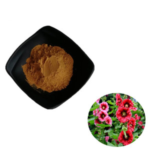 Ekstrak Althaea Officinalis 100% Alami/Bubuk Ekstrak Daun <span class=keywords><strong>Marshmallow</strong></span> dengan Harga Terbaik - Product Image 1