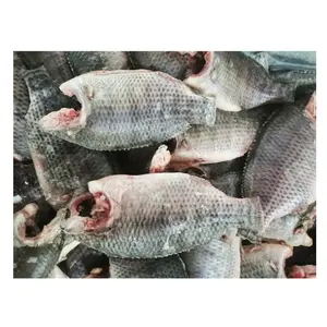Tilapia negra eviscerada y escamada de alta calidad, tilapia congelada redonda entera, tilapia 800 + pez tilapia congelado