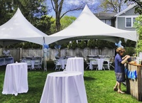 Carpa de Techo Alto de 20x20 pies, Impermeable y Resistente a la Intemperie, para Bodas, Fiestas, Festivales y Exposiciones