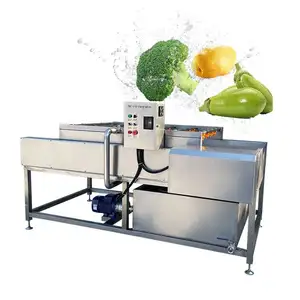 Popular design stainless steel material 304 customizable voltage power 1.1KW Vegetable Wash Machine