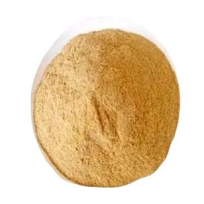 High quality and lower price protein 60% feed yeast for promoting health and short growth period