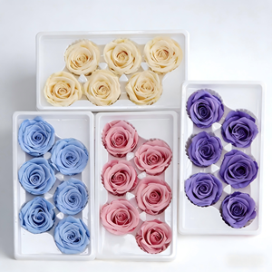 Rosas <span class=keywords><strong>Preservadas</strong></span> a Precio de Fábrica, 5-6cm, Grado B, Cabeza de Rosa Natural Eterna para Decoración de Bodas, Día de la Madre - Product Image 3