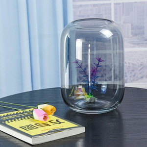 Vase en verre micro-paysage créatif avec mousse, bonsaï écologique, arbre de vie, ornements de bureau - Product Image 5