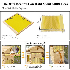 Nghề nuôi ong nhỏ tự động <span class=keywords><strong>Hive</strong></span> chảy khung tự động chảy Mật Ong <span class=keywords><strong>Bee</strong></span> <span class=keywords><strong>Hive</strong></span> hộp - Product Image 4