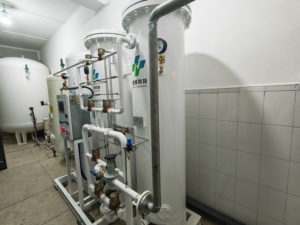 مولد أكسجين PSA مخصص لعام 2025 مع ضاغط هواء PLC للاستخدام الطبي والصناعي عالي الكفاءة وأوتوماتيكي بالكامل - Product Image 5