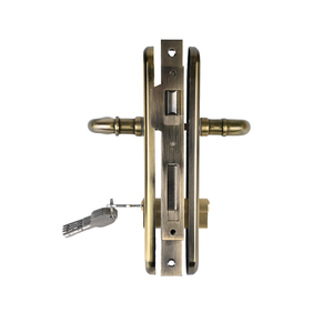 अत्यधिक सुरक्षित एंटी-चोरी वाटरप्रूफ कुंजी-संचालित पॉलिश फिनिश 242*45 मिमी दरवाजा लॉक - Product Image 5