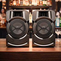 Système de sonorisation DJ sans fil sur pied haute puissance 300W pour cafés, bars, restaurants, karaoké et prise en charge des cartes mémoire