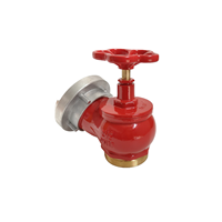 Vanne d'atterrissage pour eau de feu de style allemand 2 ''2.5'' DN65 Din Vanne d'atterrissage avec adaptateur Storz Vanne d'eau pour bouche d'incendie