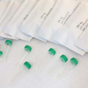 कुत्ते के लिए कैनाइन पैरावो टेस्ट किट कुत्ते के लिए कैनिन पैरावोवायरस टेस्ट किट उपकरण - Product Image 6