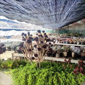 HDPE Waterproof Portable Agricultural Shading Net Easily Cleaned & Assembled in Various Colors - Product Image 3
