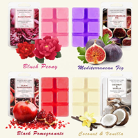 Coffrets personnalisés OEM pour cubes de cire parfumée, blocs de cire de soja parfumée, bougies aromatiques, et cires fondantes en emballage clamshell