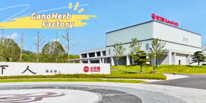 Ganoherb Biologische Paddestoel Extract Poeder <span class=keywords><strong>Reishi</strong></span> Paddestoel Extract Lingzhi Extract Poeder Met Biologische Certificaten - Product Image 6