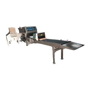 Egg Grading Coding Machine 15000 Eggs Per Hour Egg Grading Machine Automatic Egg Tray Filler - Product Image 5