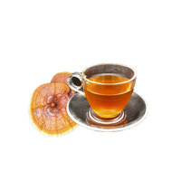 Extrait de champignon Reishi Ganoderma en poudre Goodex, 4% de polysaccharides, 2% de triterpènes, qualité alimentaire, extrait par solvant, en bouteille/fût