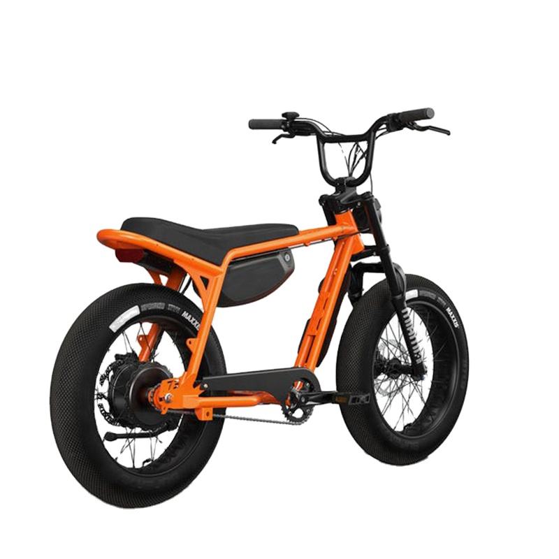 E Joe Bike Batteries High Performance Long Life