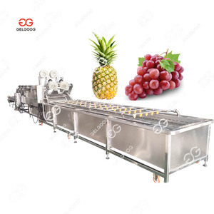 Máy rửa trái cây dứa lựu Máy làm sạch hạt nho Máy rửa và sấy khô hạt nho - Product Image 1