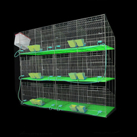 Nouvelles cages d'élevage de lapins de haute qualité, marque Muhe, en tuyau galvanisé de type H, 12 unités, anti-corrosion, pour l'élevage commercial à bas prix
