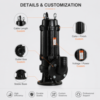 Pompe submersible à double canal pour eaux usées, en acier inoxydable et fonte, coque composite, haute performance pour drainage des eaux usées industrielles, OEM