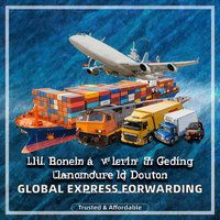 Services d'expédition internationale express par voie maritime et aérienne pour les États-Unis, le Canada, le Royaume-Uni, l'Arabie Saoudite, les Émirats arabes unis avec distribution FBA