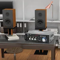 Système Sonore Home Cinéma Double Microphone Amplificateur Hi-Fi 300W*2 Canal 2.0 Ampli Son Numérique Décodeur Mp3 Bluetooth