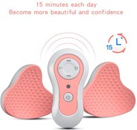 Masseur de poitrine électrique, avec fonction de compression chaude, étanche, rehausseur de poitrine, USB, Augmentation de poitrine, soins