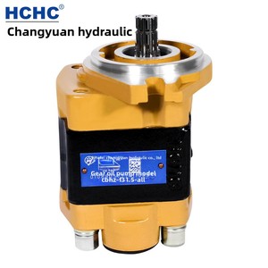 Bomba de Engranajes Hidráulica Serie CBHZ CBHZG, Modelos CBHZ-F23, CBHZ-F25, CBHZ-F28, CBHZ-F30, CBHZ-F32, CBHZ-F36, Construcción de Hierro Fundido y L - Product Image 3