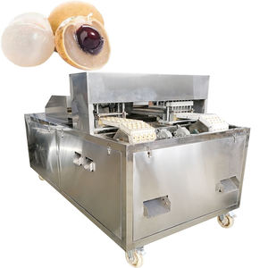 Máquina Despulpadora de Frutas de Alta Eficiencia y Gran Capacidad, Máquina para Descorazonar Dátiles, Hecha en China - Product Image 6