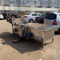 Commerciële Industriële Bubble Fruit Avocado Mango Groente Aardappel Wasmachine/Bevroren Groente Productielijn