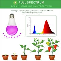 Lampe de culture pour plantes Plant Grow A60 avec capteur SMD LED, base à 230 degrés E26, ampoule de culture pour fruits du dragon
