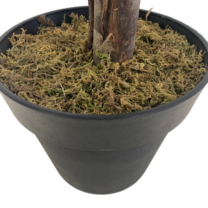 Bonsái simulado de <span class=keywords><strong>olivo</strong></span> Artificial de estilo verde <span class=keywords><strong>grande</strong></span> de 6 pies y 180cm para decoración de oficina, <span class=keywords><strong>olivo</strong></span> antiguo Natural Similar de China - Product Image 6