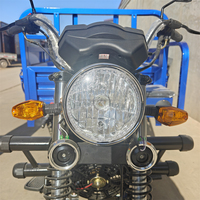 Motocicleta Triciclo de Carga de Tres Ruedas para Adultos, Motor de Gasolina de 200cc, Carrocería Abierta, Deportivo