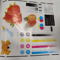 Machine d'impression flexographique semi-automatique pour sacs en plastique et en papier, avec presse à lettres et empileur de papier