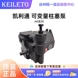 Pompe à piston Kailiton série Ar, Ar1622 Fr01c Bs, déplacement de 16 cm, 2 ch, pompe hydraulique - Product Image 3