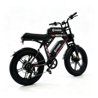 Vélo Électrique Tout-Terrain à Pneus Larges 20 Pouces, Stock Local UE/US, Vente en Gros, Double Batterie 48V 35AH, Autonomie Étendue 80-100 km, Moteur Brushless